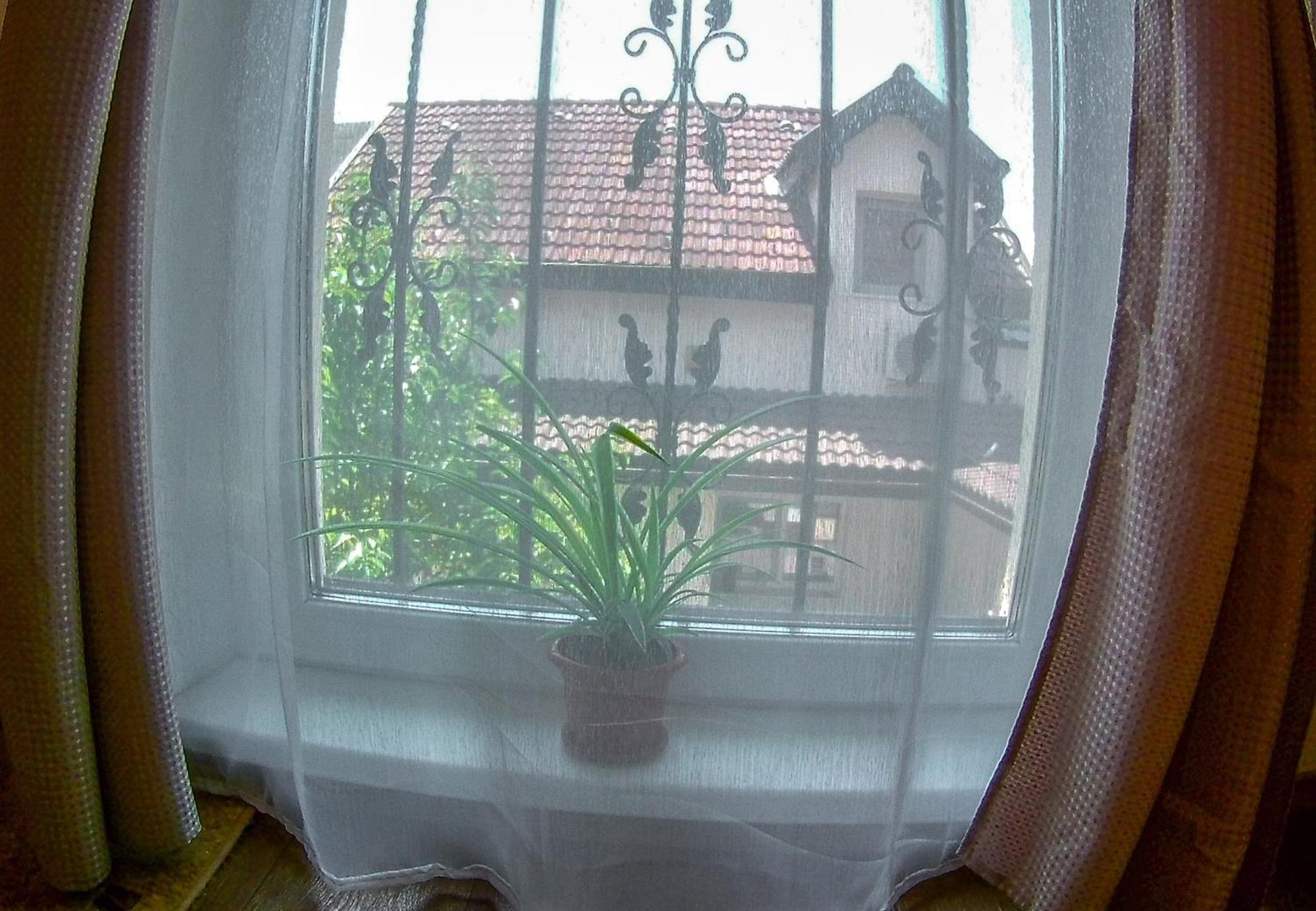 Nice & Cozy Apartments Timisoara Room photo